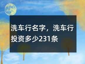 洗車行名字，洗車行投資多少231條