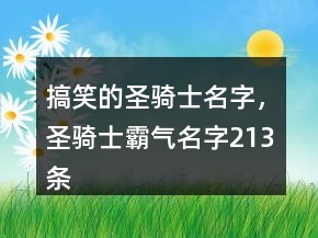 搞笑的圣騎士名字，圣騎士霸氣名字213條