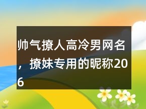 帥氣撩人高冷男網(wǎng)名，撩妹專用的昵稱206條