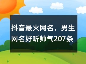 抖音最火網(wǎng)名，男生網(wǎng)名好聽帥氣207條