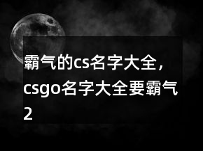 霸氣的cs名字大全，csgo名字大全要霸氣220條