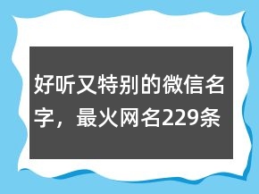 好聽又特別的微信名字，最火網(wǎng)名229條