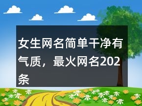 女生網(wǎng)名簡(jiǎn)單干凈有氣質(zhì)，最火網(wǎng)名202條