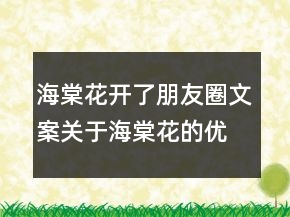 海棠花開(kāi)了朋友圈文案關(guān)于海棠花的優(yōu)美語(yǔ)句211條