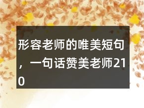 形容老師的唯美短句，一句話贊美老師210條