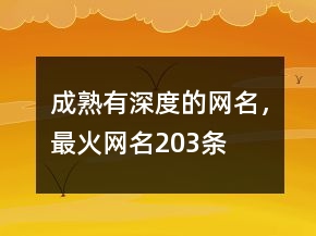 成熟有深度的網(wǎng)名，最火網(wǎng)名203條