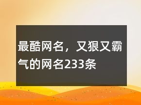 最酷網(wǎng)名，又狠又霸氣的網(wǎng)名233條