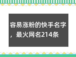 容易漲粉的快手名字，最火網(wǎng)名214條
