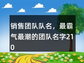 銷售團隊隊名，最霸氣最潮的團隊名字210條