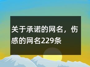 關(guān)于承諾的網(wǎng)名，傷感的網(wǎng)名229條