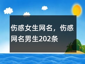 傷感女生網(wǎng)名，傷感網(wǎng)名男生202條
