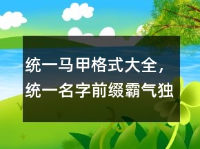 統(tǒng)一馬甲格式大全，統(tǒng)一名字前綴霸氣獨(dú)特224條