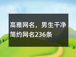 高雅網(wǎng)名，男生干凈簡(jiǎn)約網(wǎng)名236條
