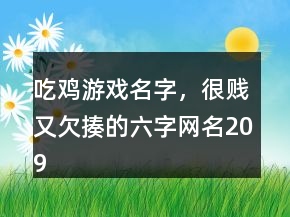 吃雞游戲名字，很賤又欠揍的六字網(wǎng)名209條
