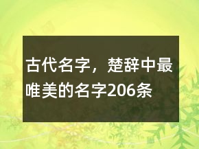 古代名字，楚辭中最唯美的名字206條