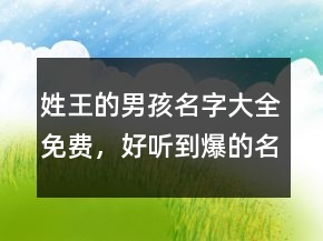 姓王的男孩名字大全免費(fèi)，好聽(tīng)到爆的名字204條