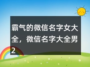 霸氣的微信名字女大全，微信名字大全男241條