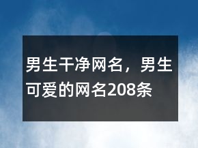 男生干凈網(wǎng)名，男生可愛的網(wǎng)名208條
