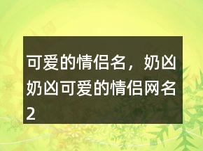 可愛的情侶名，奶兇奶兇可愛的情侶網(wǎng)名222條
