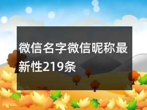 微信名字微信昵稱最新性219條