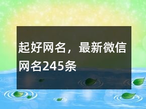 起好網(wǎng)名，最新微信網(wǎng)名245條