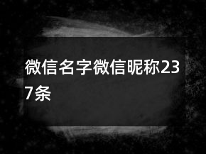 微信名字微信昵稱237條