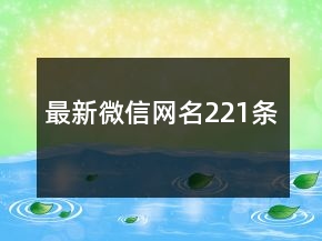 最新微信網(wǎng)名221條