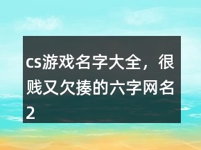 cs游戲名字大全，很賤又欠揍的六字網(wǎng)名217條