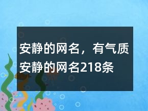 安靜的網(wǎng)名，有氣質(zhì)安靜的網(wǎng)名218條