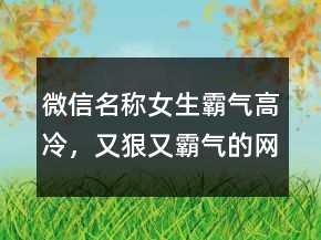 微信名稱女生霸氣高冷，又狠又霸氣的網(wǎng)名239條