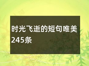 時光飛逝的短句唯美245條