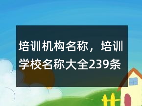 培訓(xùn)機構(gòu)名稱，培訓(xùn)學(xué)校名稱大全239條