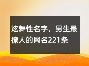 炫舞性名字，男生最撩人的網(wǎng)名221條