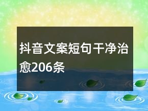 抖音文案短句干凈治愈206條