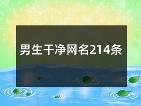 男生干凈網(wǎng)名214條
