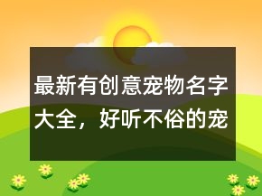 最新有創(chuàng)意寵物名字大全，好聽不俗的寵物店名字227條