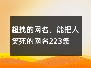 超拽的網(wǎng)名，能把人笑死的網(wǎng)名223條