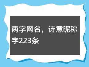 兩字網(wǎng)名，詩意昵稱字223條