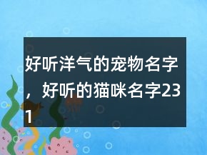 好聽洋氣的寵物名字，好聽的貓咪名字231條
