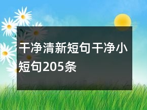 干凈清新短句干凈小短句205條