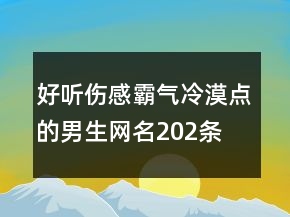 好聽(tīng)傷感霸氣冷漠點(diǎn)的男生網(wǎng)名202條