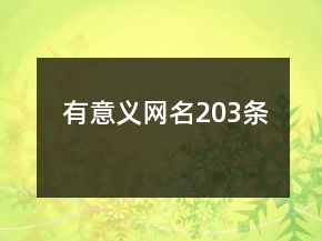 有意義網(wǎng)名203條