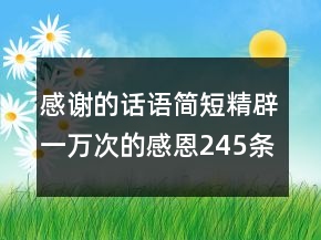 感謝的話語(yǔ)簡(jiǎn)短精辟一萬(wàn)次的感恩245條