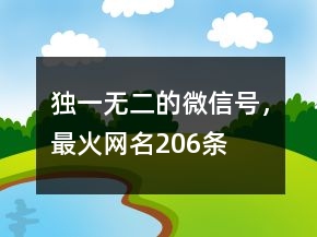 獨(dú)一無(wú)二的微信號(hào)，最火網(wǎng)名206條