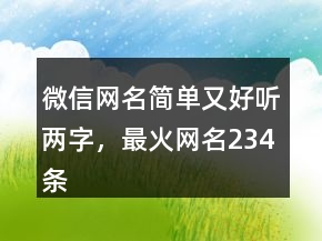 微信網(wǎng)名簡(jiǎn)單又好聽(tīng)兩字，最火網(wǎng)名234條