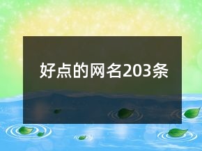 好點(diǎn)的網(wǎng)名203條
