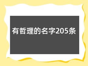 有哲理的名字205條