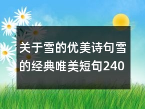 關(guān)于雪的優(yōu)美詩(shī)句雪的經(jīng)典唯美短句240條
