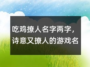 吃雞撩人名字兩字，詩意又撩人的游戲名字250條
