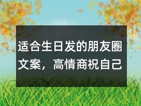 適合生日發(fā)的朋友圈文案，高情商祝自己生日快樂207條
